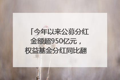 今年以来公募分红金额超950亿元，权益基金分红同比翻倍｜招财猫